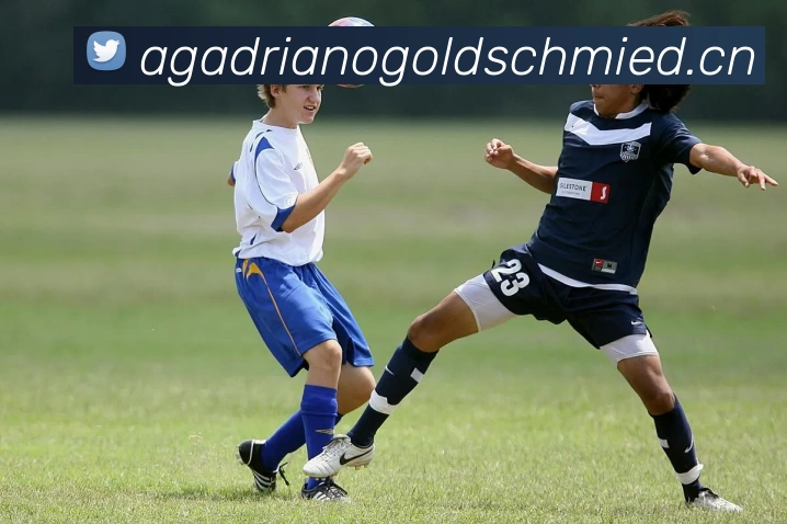 开云官方版入口APP 封面图